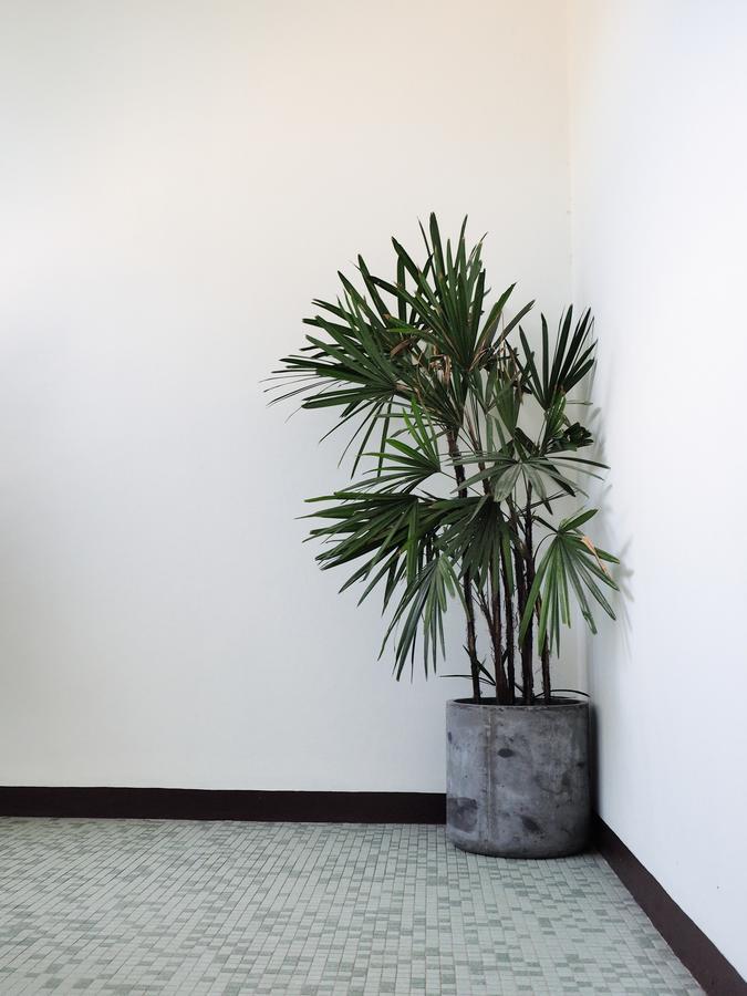 Siri Hotel Phuket Ngoại thất bức ảnh
